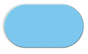 Racetrack Oval icon